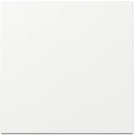 Gira S55 schakelwip gl wit