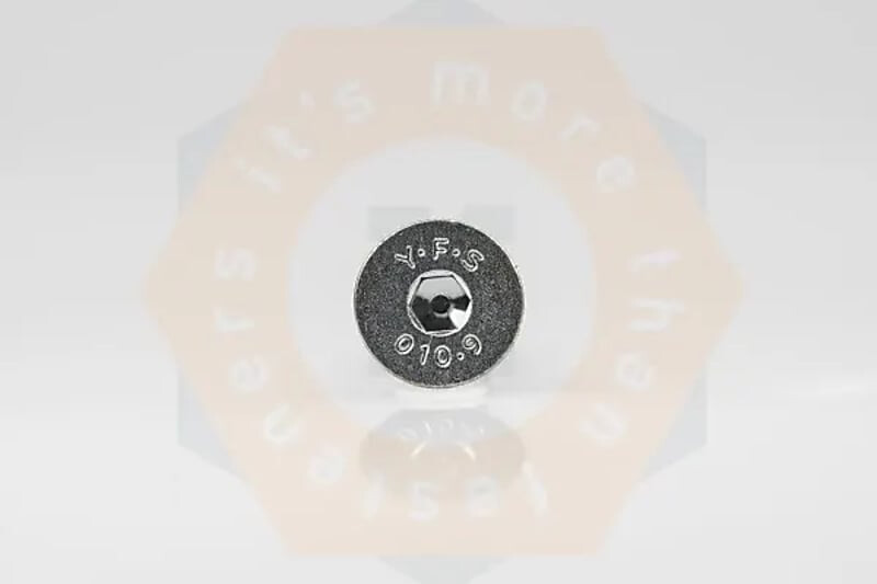 Inbusbout vzk 8.8vz M6x10 100st